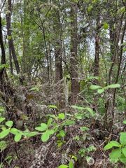 0 Clinton Road, Chehalis, WA 98532