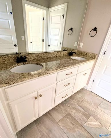 204 Grove Village Way, Madison, AL 35758