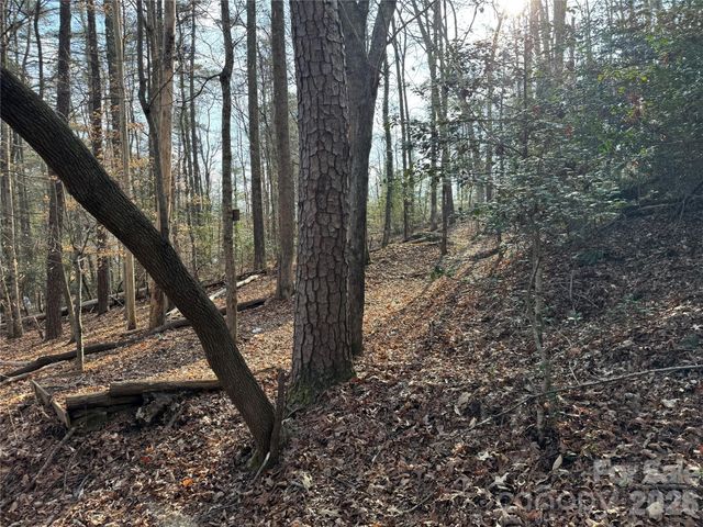 481 Fisher Road, Brevard, NC 28712