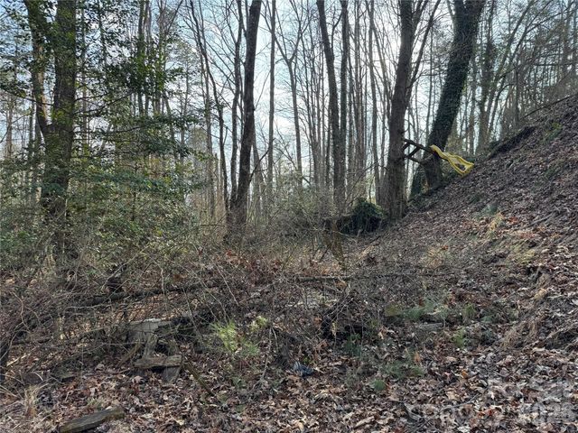 481 Fisher Road, Brevard, NC 28712