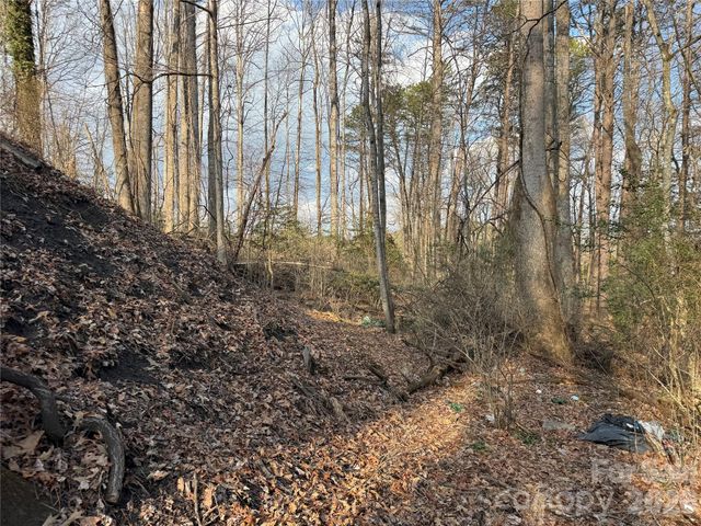 481 Fisher Road, Brevard, NC 28712