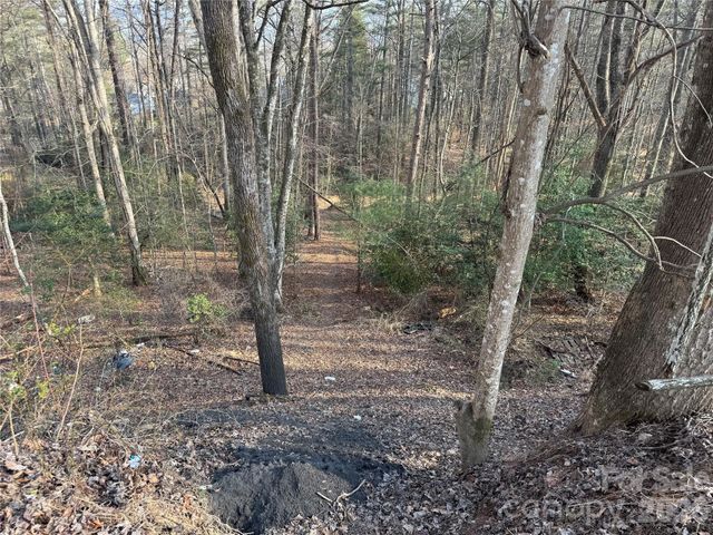 481 Fisher Road, Brevard, NC 28712