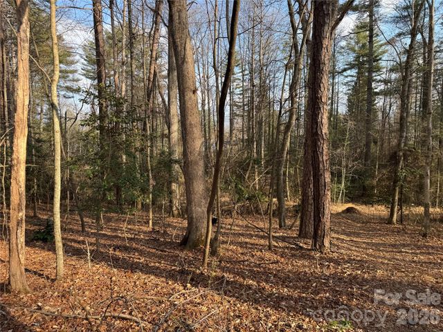 481 Fisher Road, Brevard, NC 28712