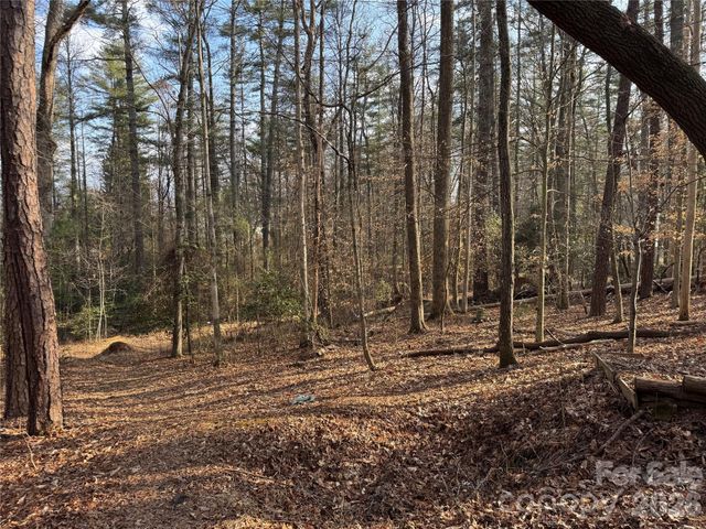 481 Fisher Road, Brevard, NC 28712
