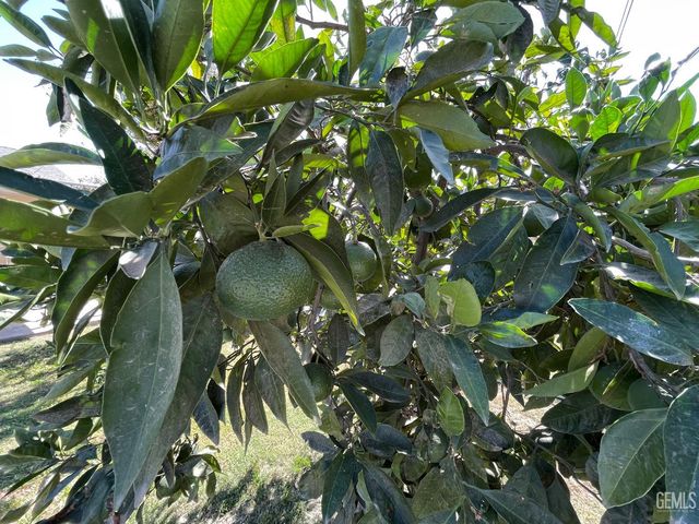 917 Cherry Hills Drive, Bakersfield, CA 93309