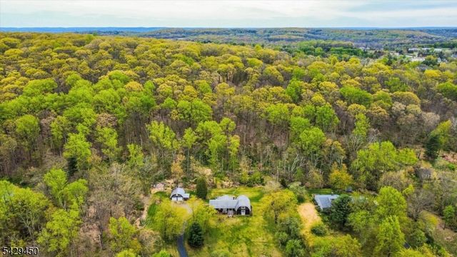 49 Frog Hollow Rd, Tewksbury Twp., NJ 07830