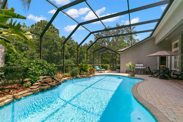 14817 TUDOR CHASE DRIVE, Tampa, FL 33626