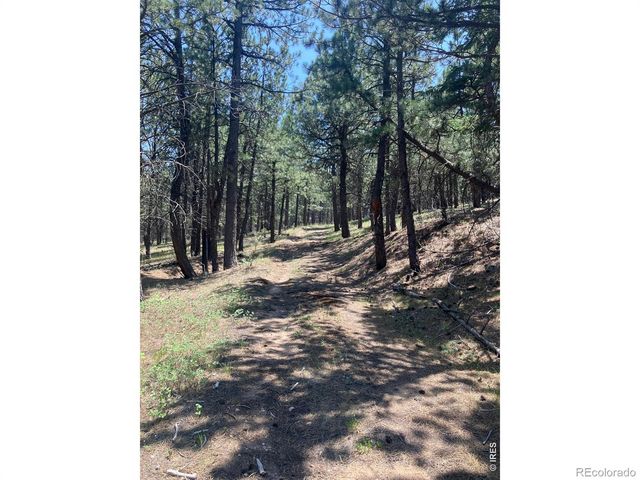 5550 Sunshine Canyon Drive, Boulder, CO 80302