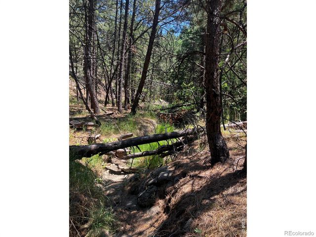 5550 Sunshine Canyon Drive, Boulder, CO 80302