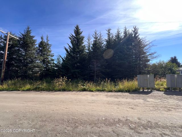 000 Lake Street, Homer, AK 99603