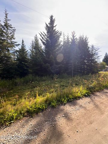 000 Lake Street, Homer, AK 99603