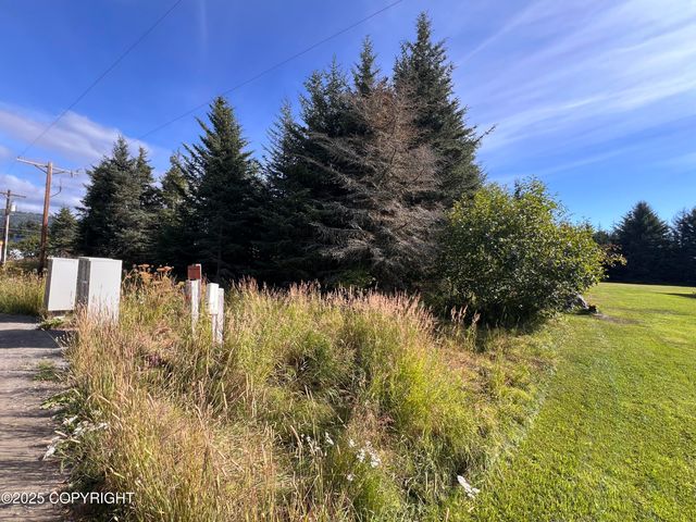 000 Lake Street, Homer, AK 99603