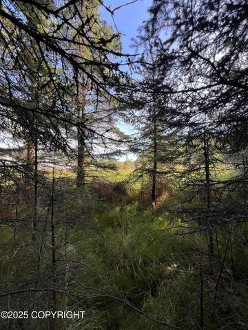 000 Lake Street, Homer, AK 99603