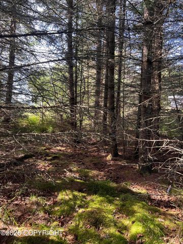 000 Lake Street, Homer, AK 99603