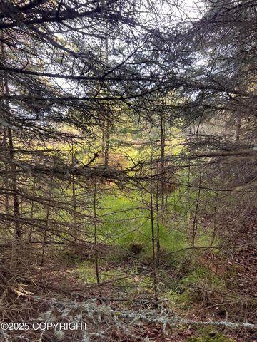 000 Lake Street, Homer, AK 99603