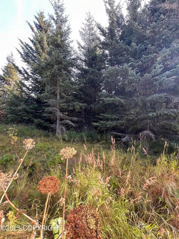 000 Lake Street, Homer, AK 99603