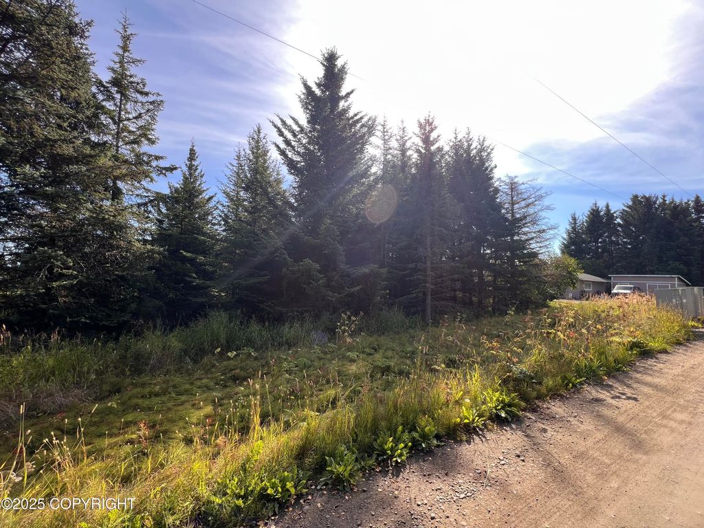 000 Lake Street, Homer, AK 99603