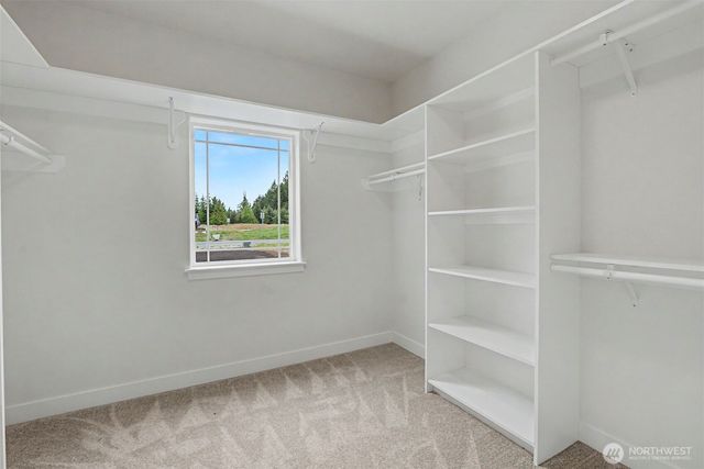 11347 Elks Landing Court SE, Yelm, WA 98597