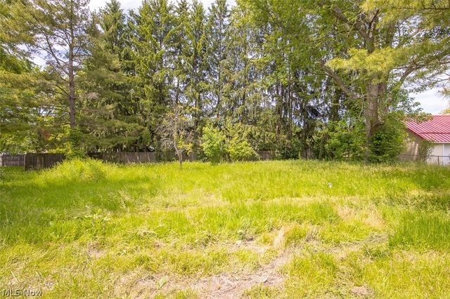 4215 Tapper Road, Norton, OH 44203