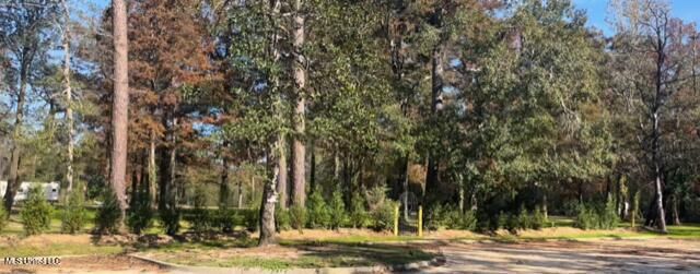 Nhn River Road, Gulfport, MS 39503