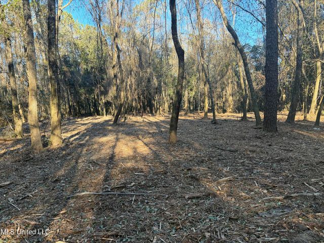 Nhn River Road, Gulfport, MS 39503