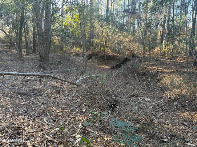 Nhn River Road, Gulfport, MS 39503