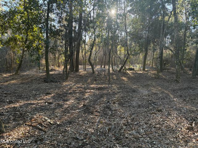 Nhn River Road, Gulfport, MS 39503