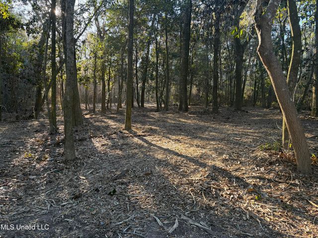 Nhn River Road, Gulfport, MS 39503