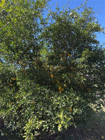 18006 Barton Ridge Lane, Richmond, TX 77407