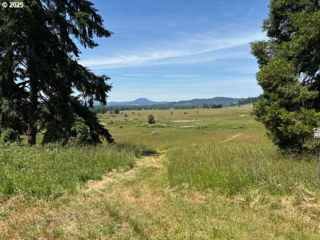 N Morningstar Road, Pleasant Hill, OR 97455