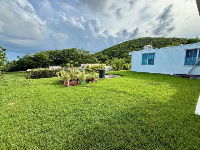 45 CASIA, HACIENDA GRANDE, Naguabo, PR 00718