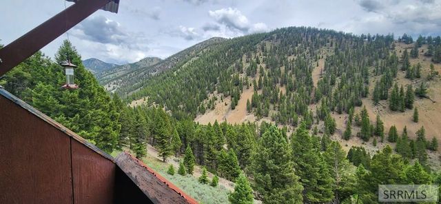 58 Bighorn Drive, Salmon, ID 83467