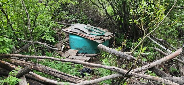 58 Bighorn Drive, Salmon, ID 83467