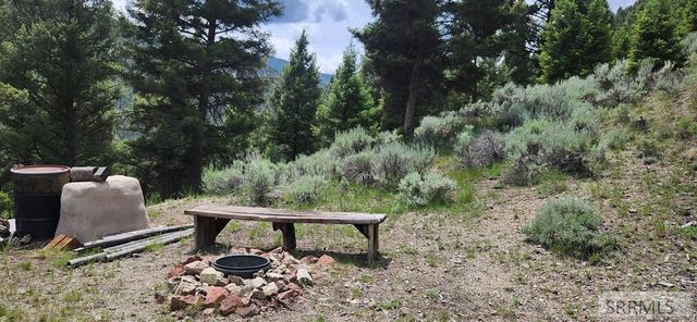 58 Bighorn Drive, Salmon, ID 83467