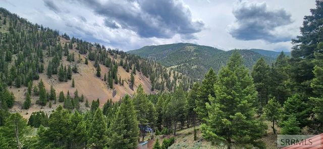 58 Bighorn Drive, Salmon, ID 83467