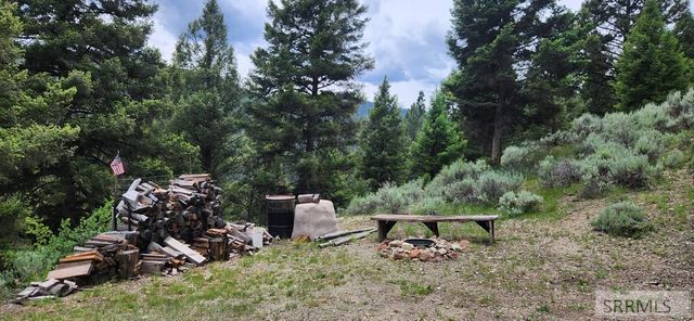 58 Bighorn Drive, Salmon, ID 83467