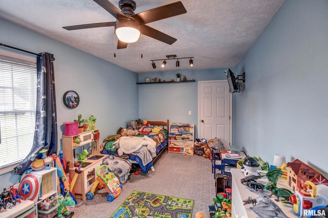 3830 LAKE Drive, Taylorville, IL 62568