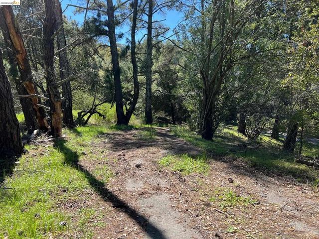 58 Zander Court, Orinda, CA 94563