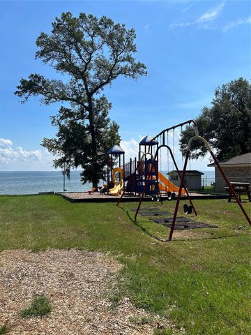 437 Gov Wood Drive, Point Blank, TX 77364