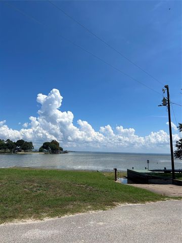 437 Gov Wood Drive, Point Blank, TX 77364