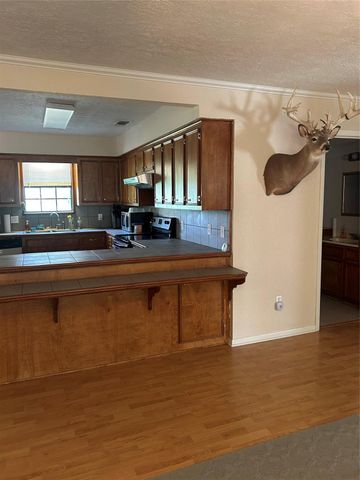 437 Gov Wood Drive, Point Blank, TX 77364