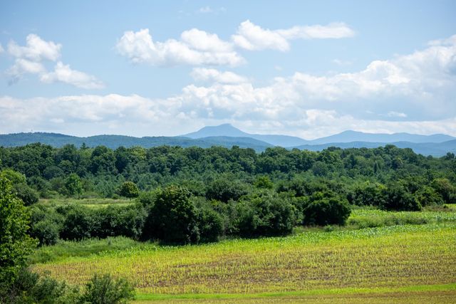 6 Luke Lane, Shelburne, VT 05482