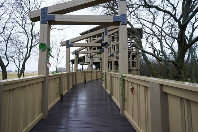 817 Bridle Path Parkway, Aubrey, TX 76227