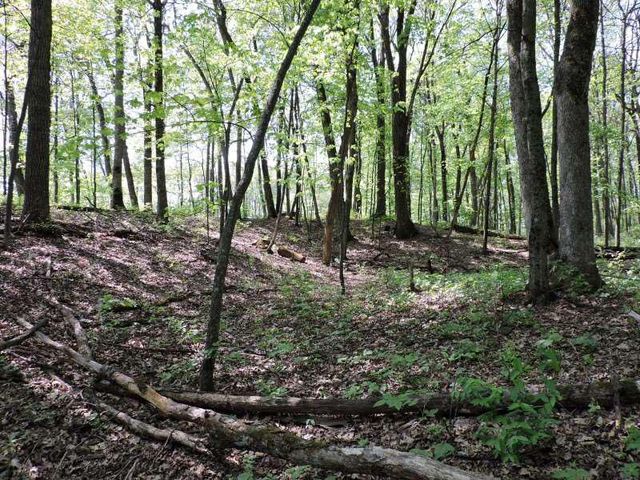 4781 TURKEY TRAIL #Lot #19 Woodland Hei, Amherst, WI 54406