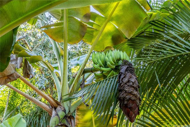 66-815 Kamehameha Highway, Haleiwa, HI 96712