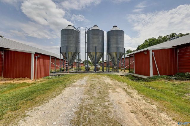 4695 County Road 284, Courtland, AL 35618