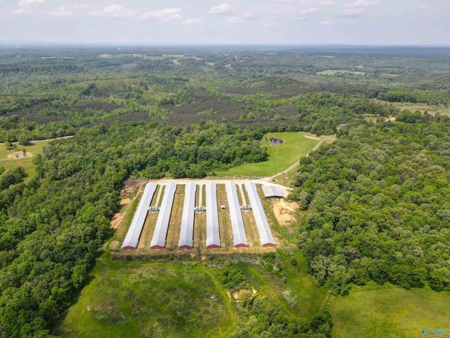 4695 County Road 284, Courtland, AL 35618