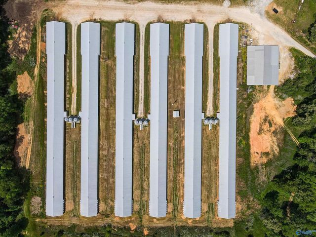 4695 County Road 284, Courtland, AL 35618