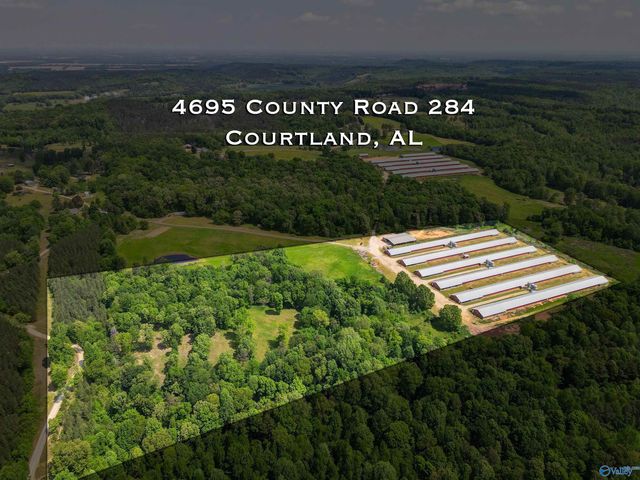 4695 County Road 284, Courtland, AL 35618