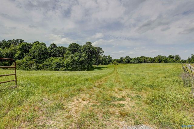 4695 County Road 284, Courtland, AL 35618